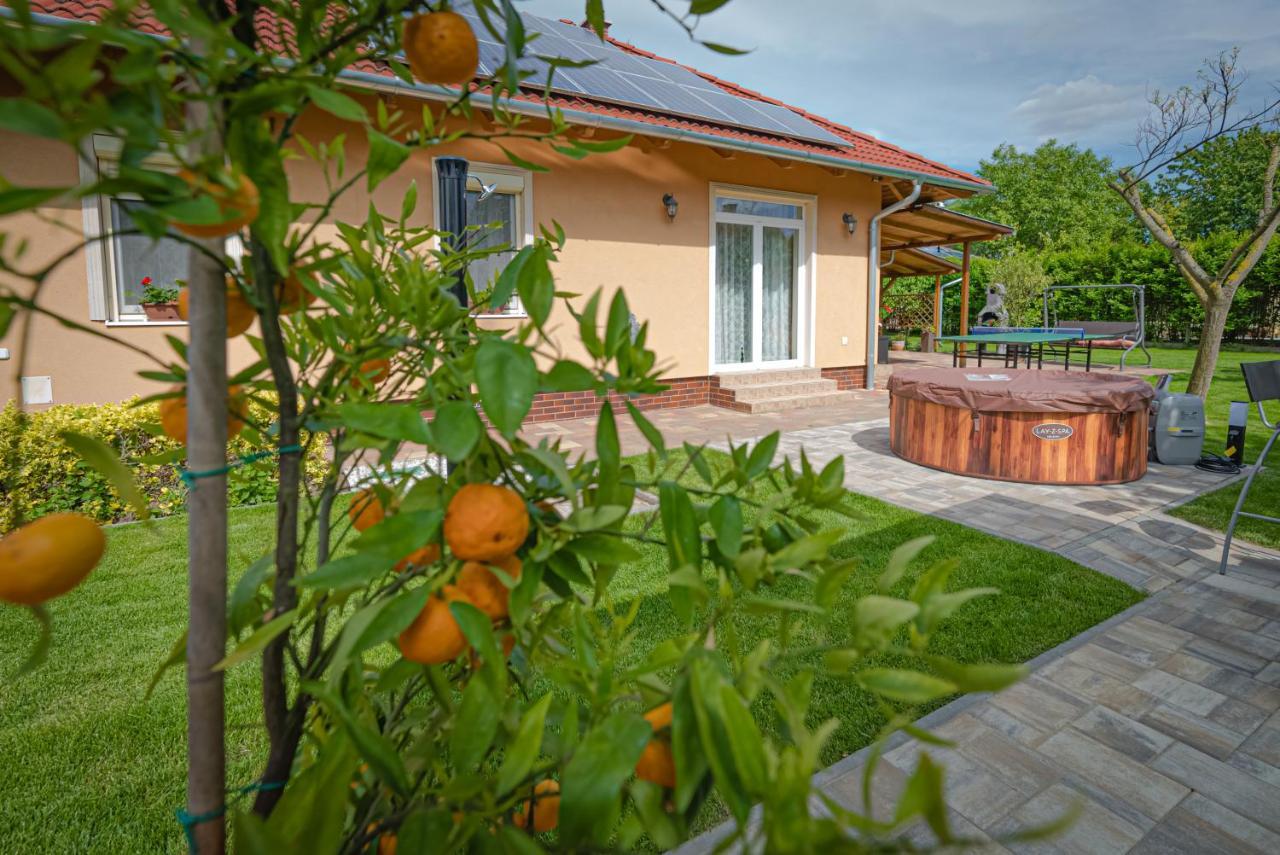 Вілла Sunny Garden Pihenohaz Шіофок Екстер'єр фото